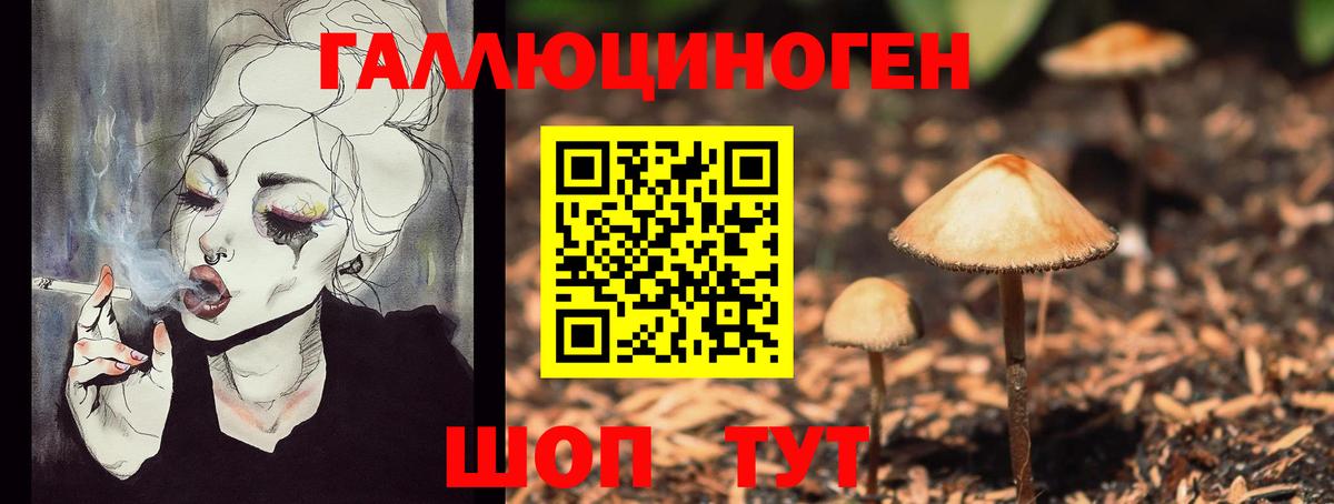 Псилоцибиновые грибы мицелий Зерноград